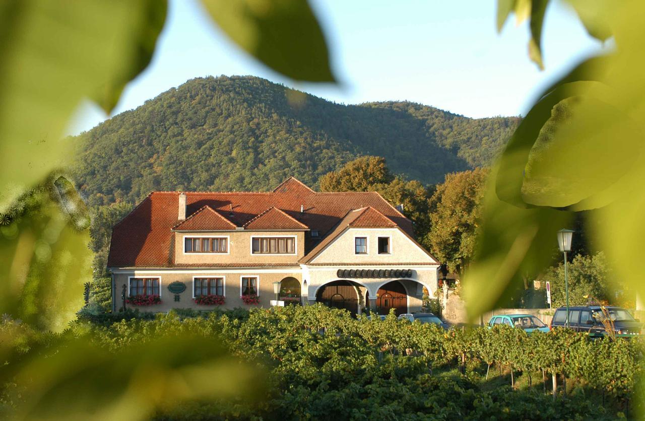 Weingut-Pension Stockingerhof Dürnstein Eksteriør billede